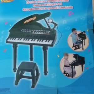 پیانو (ارگ) و میکروفون مشکی وین فان WINFUN