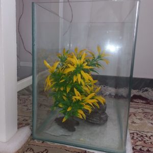 آکواریوم شیشه خم طول20cm عرض34 ارتفاع 30cm همراه با وسایل